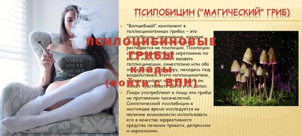 соль ск Беломорск