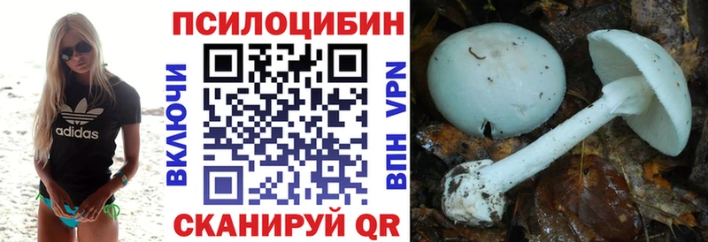 Купить  Окуловка  Псилоцибиновые грибы Psilocybine cubensis 